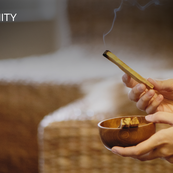 Palo Santo: Your Scented Path to Serenity