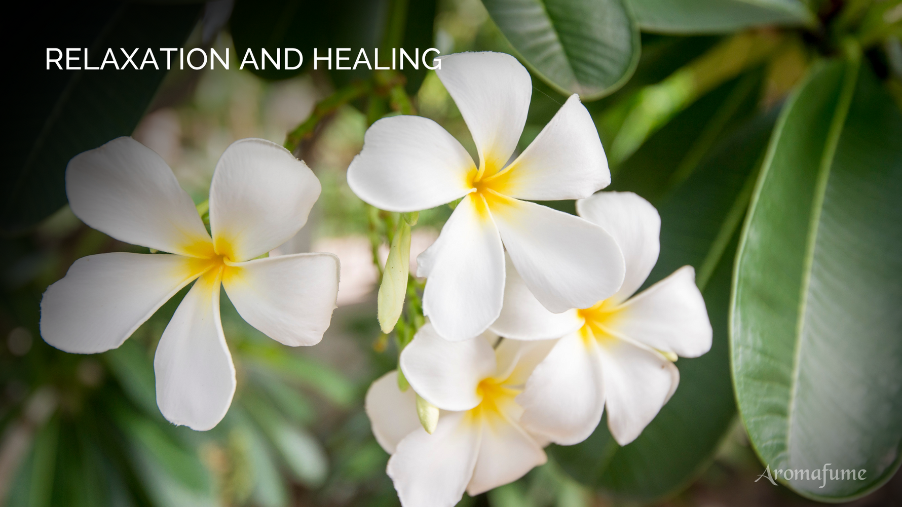 How can you incorporate the Nag Champa into your everyday routine?