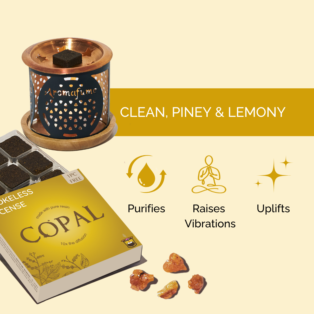Copal  Incense Bricks & Burner Set