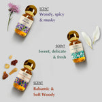 Scent Profile - Woody, Musky, Delicate, Fresh and soft woody