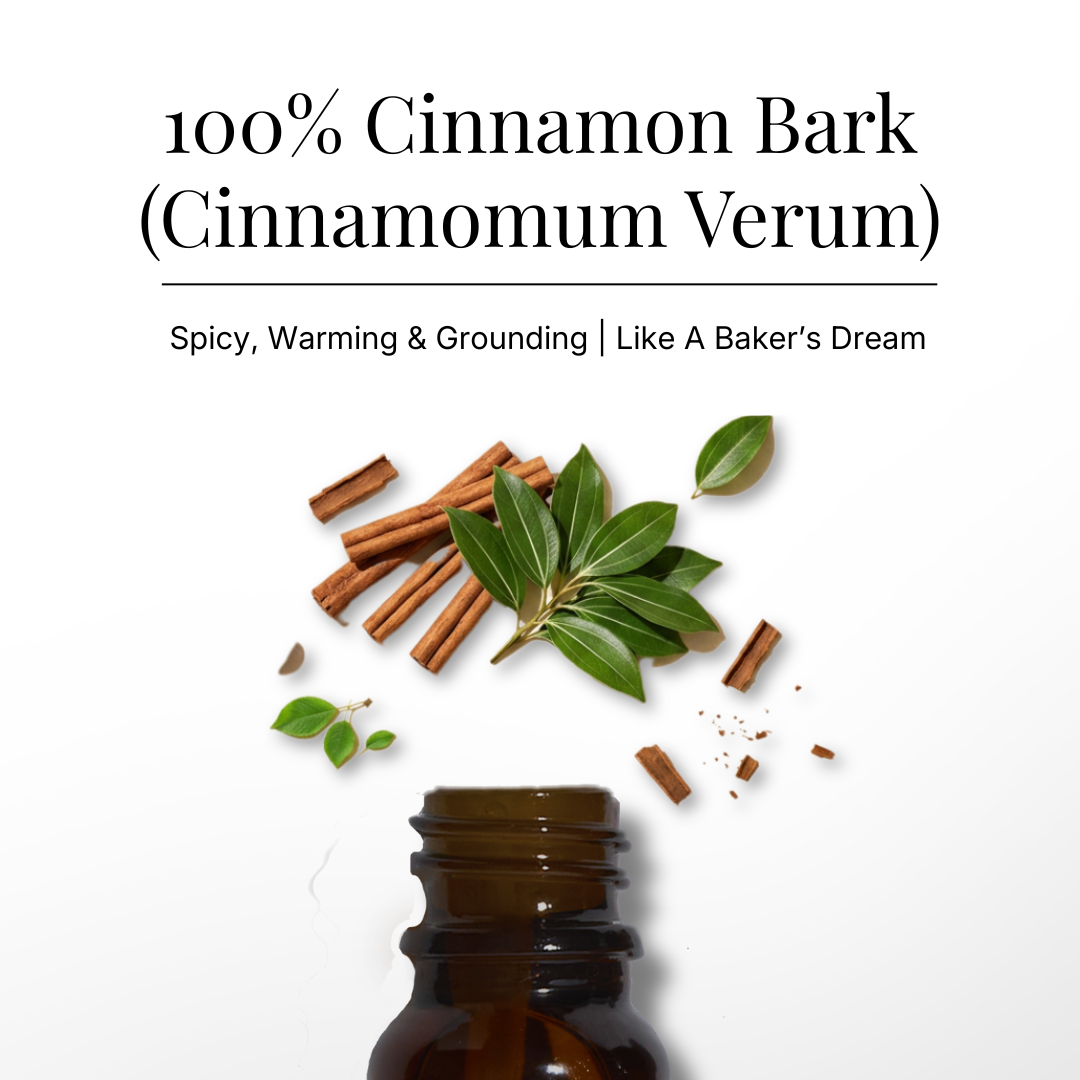 Cinnamon Bark Pure  Essential Oil