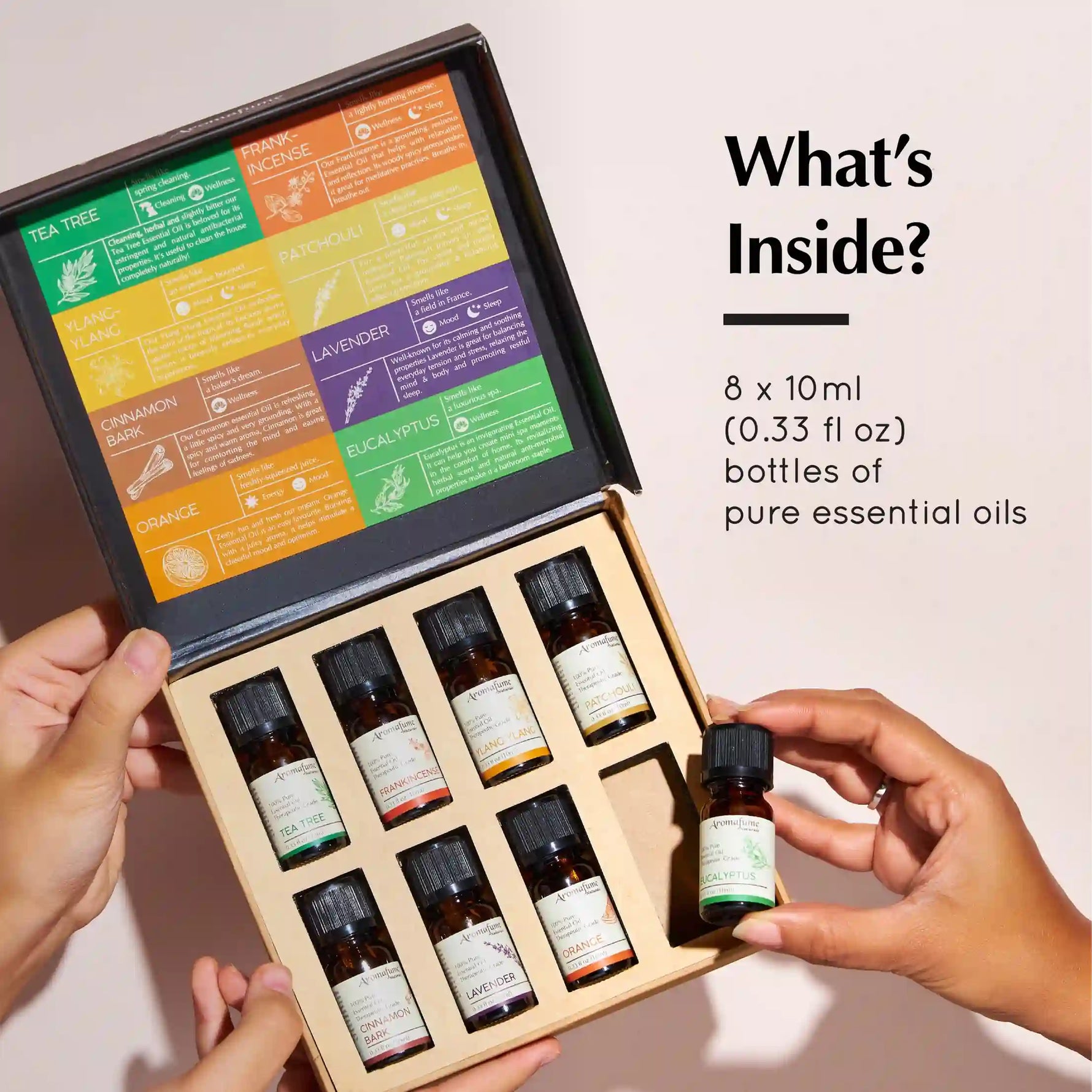 What's Inside The Box