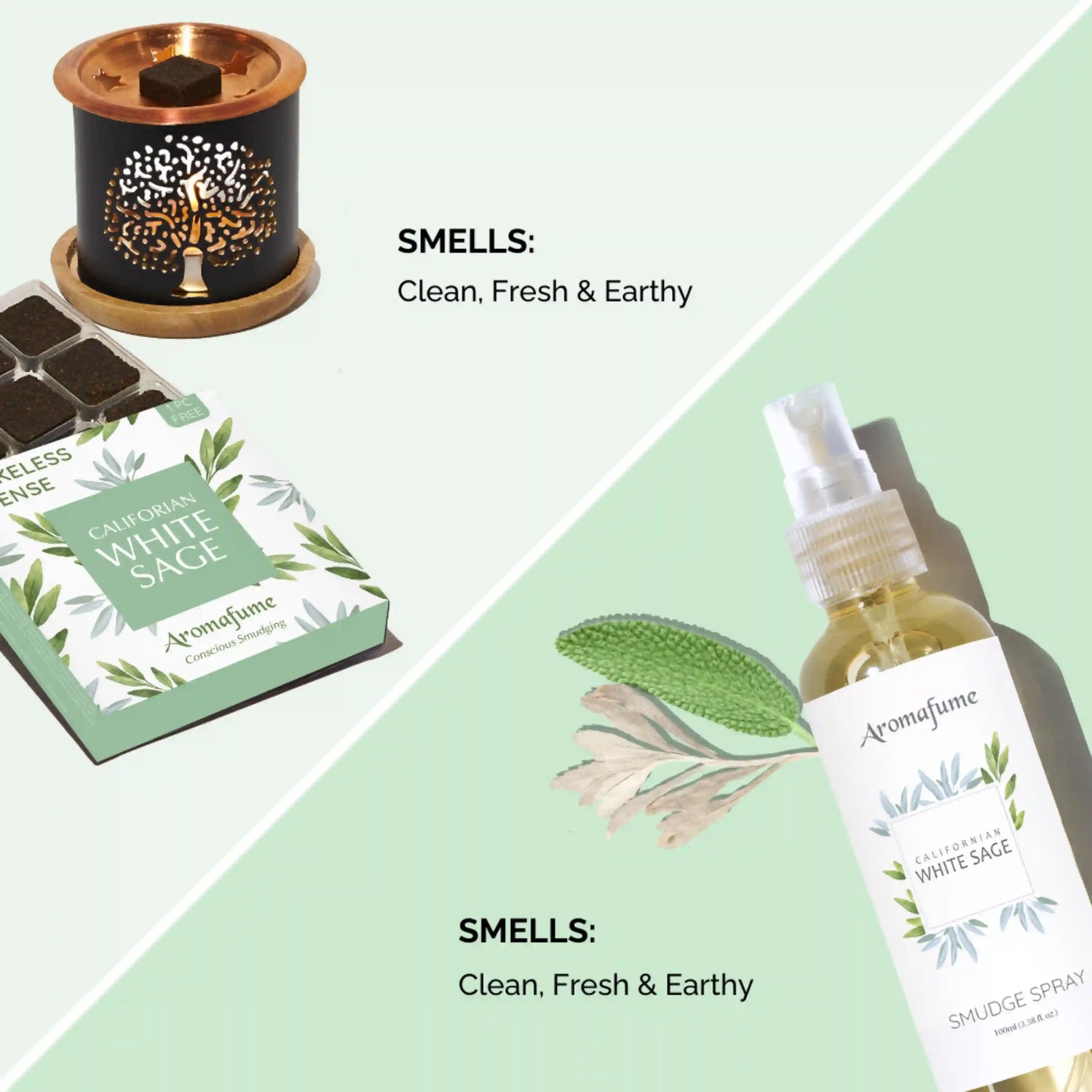 Scent Profile - Clean, Earthy and Fresh