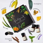 Set includes Tea Tree, Ylang Ylang, Cinnamon Bark, Frankincense, Orange and more 100% Pure Essential Oils