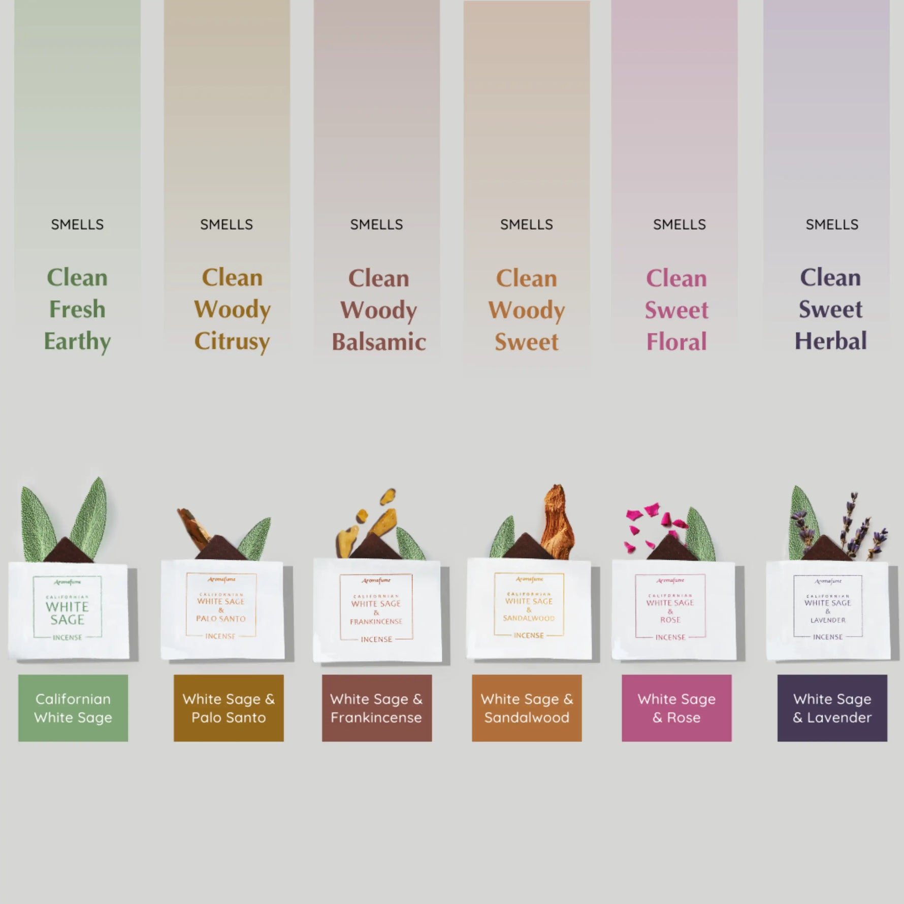 Scent Profile - Assortment of Clean, Fresh, Earthy, Woody, Sweet, Herbal, Citrusy scents