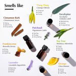 Scent Profiles - Assortment of scents which are warming, Floral, Refreshing, Grounding, Woody and more