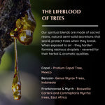 Resin origins: Copal (Protium), Benzoin (Styrax), Frankincense & Myrrh (Boswellia Carterii)