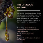 Resin origins: Boswellia, Commiphora, Protium (Copal), Dracaena (Dragon’s Blood) – sacred tree sources