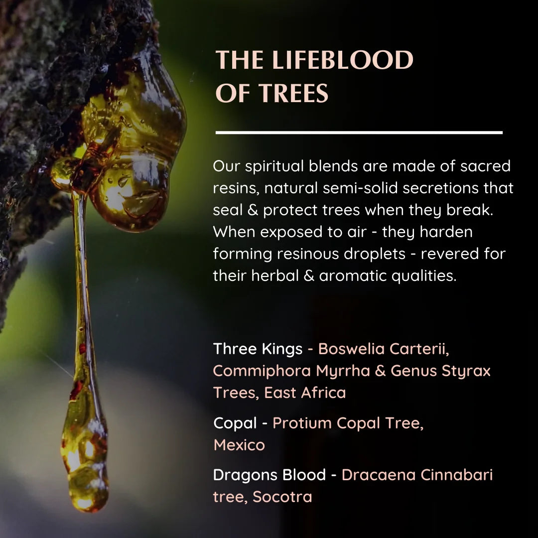 Resin origins: Boswellia, Commiphora, Protium (Copal), Dracaena (Dragon’s Blood) – sacred tree sources
